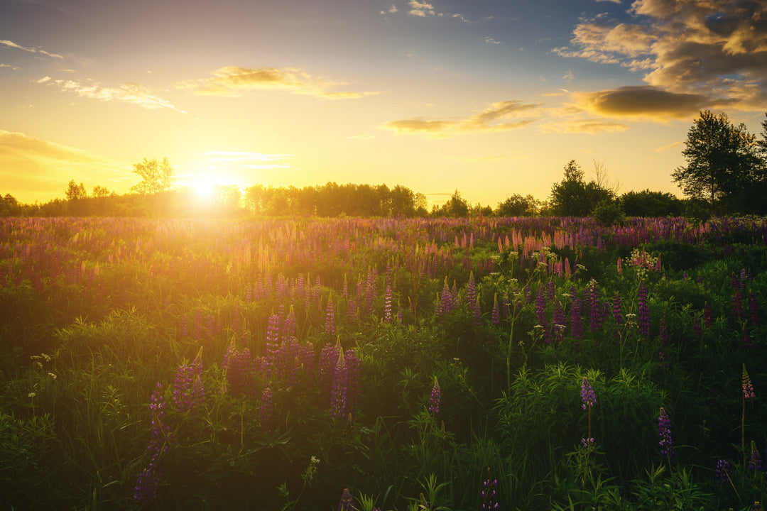 Die stille Epidemie: Warum so viele von uns einen Vitamin-D-Mangel haben