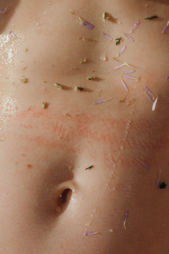 Gut Repair — L-Glutamin Pulver