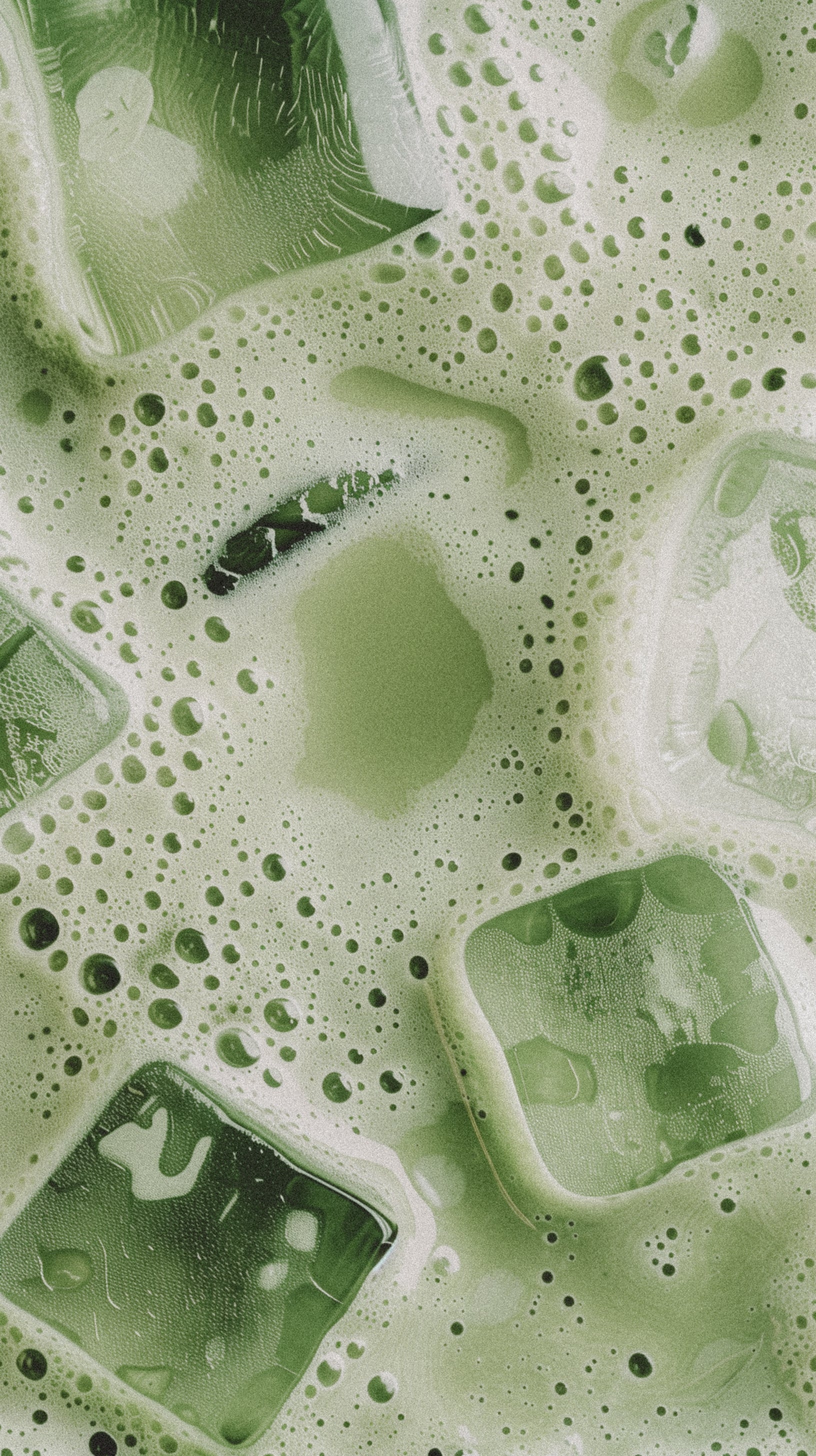 Die Revolution im Matcha-Regal: Drei kraftvolle Superfood-Blends für dein ganzheitliches Wohlbefinden