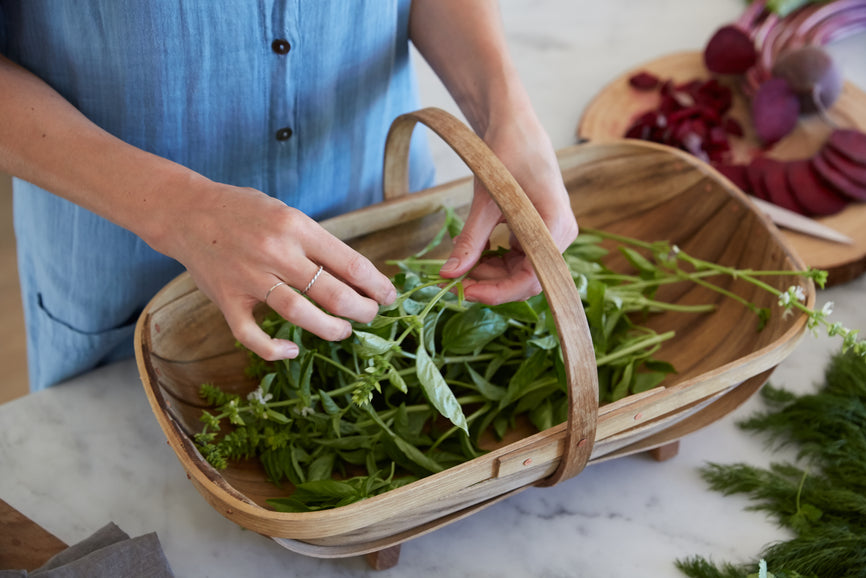 Holistic Berlin Natural Remedies