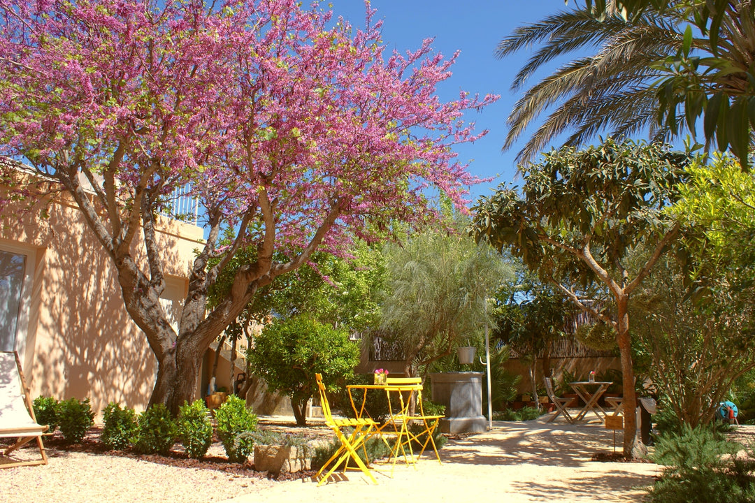 Mallorca Hotel Tipps, persönlich getestet