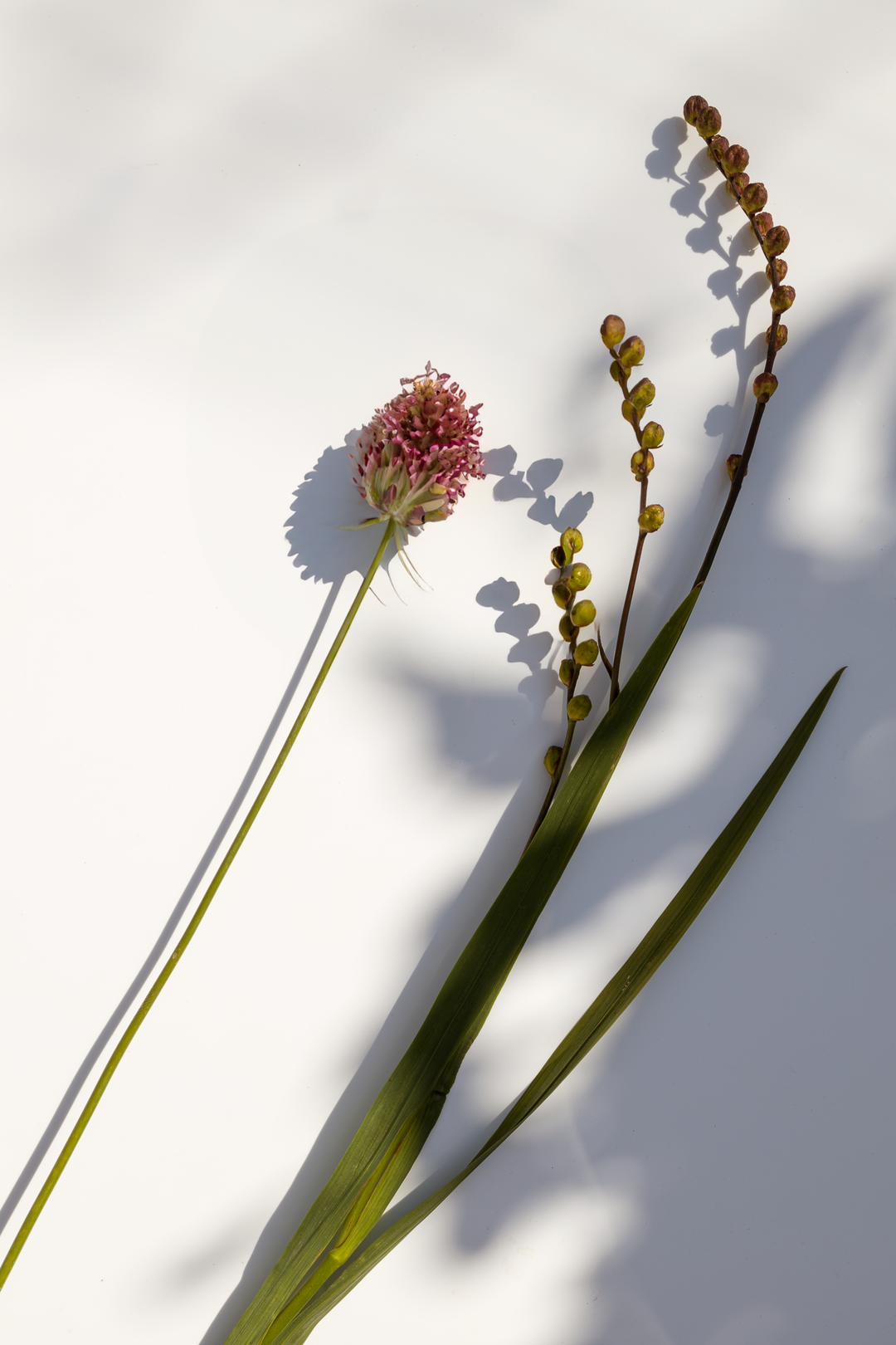 Duftkerzen und Aroma Roll-ons: unsere Dufterlebnisse und die Aromatherapie Benefits