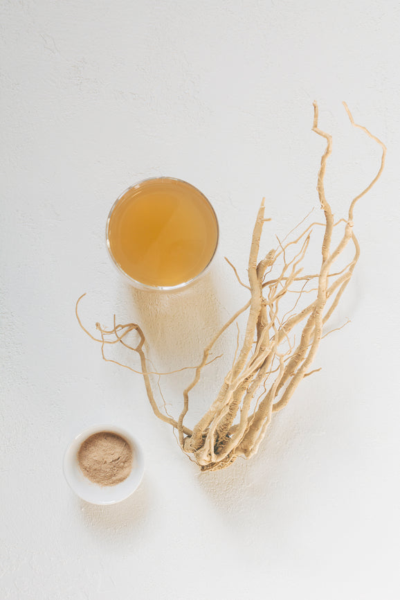Ashwagandha Wirkung – Withania somnifera Wurzel und Pulver für Stressabbau Schlaf und Energie