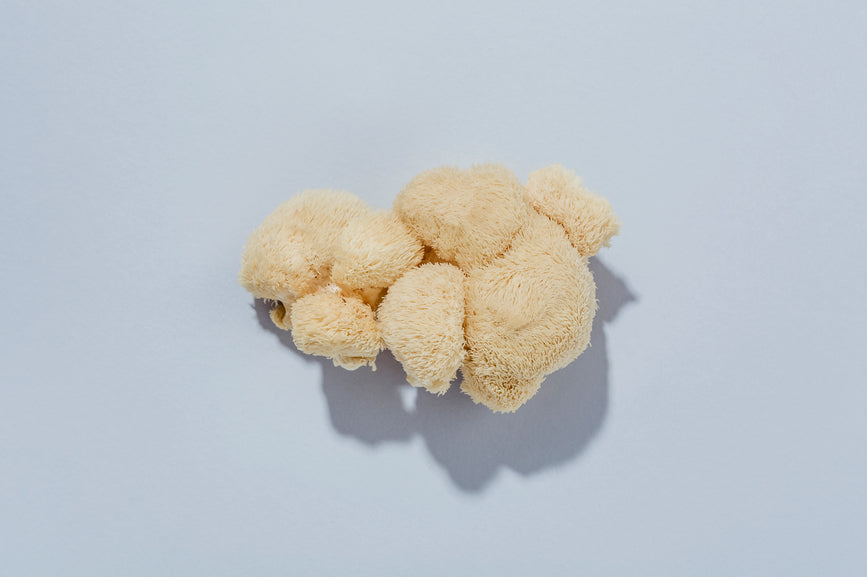 Der Ultimative Leitfaden zu Adaptogenen Pilzen: Entfalte Dein Vollstes Potenzial