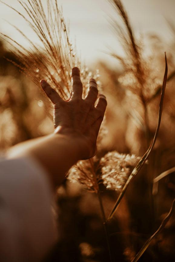 Der natürliche Weg zu mehr innerer Ruhe: MUCUNA Sirup von holistic/berlin