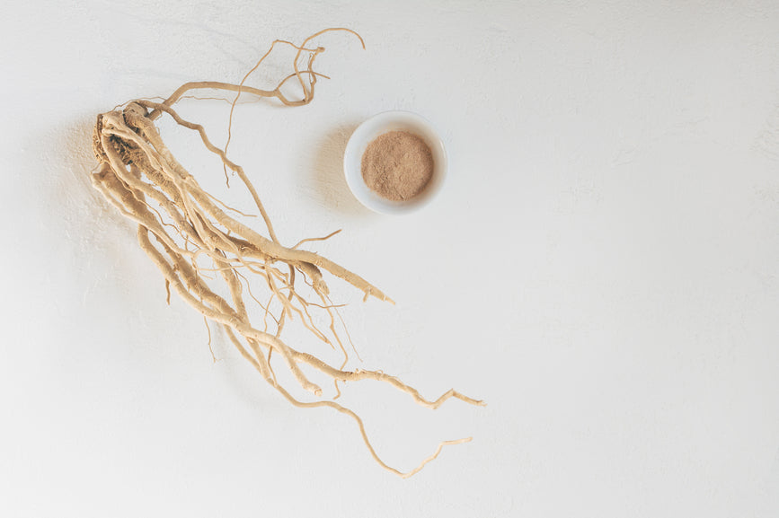 Begib Dich auf die Reise des ganzheitlichen Wohlbefindens mit der erstaunlichen Kraft der Adaptogene!