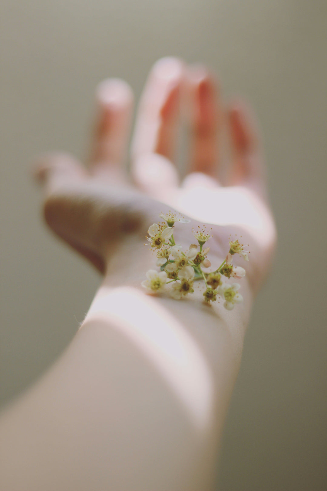 Bachblüten in der Hautpflege: Natürliche Harmonie für deine Haut und Seele